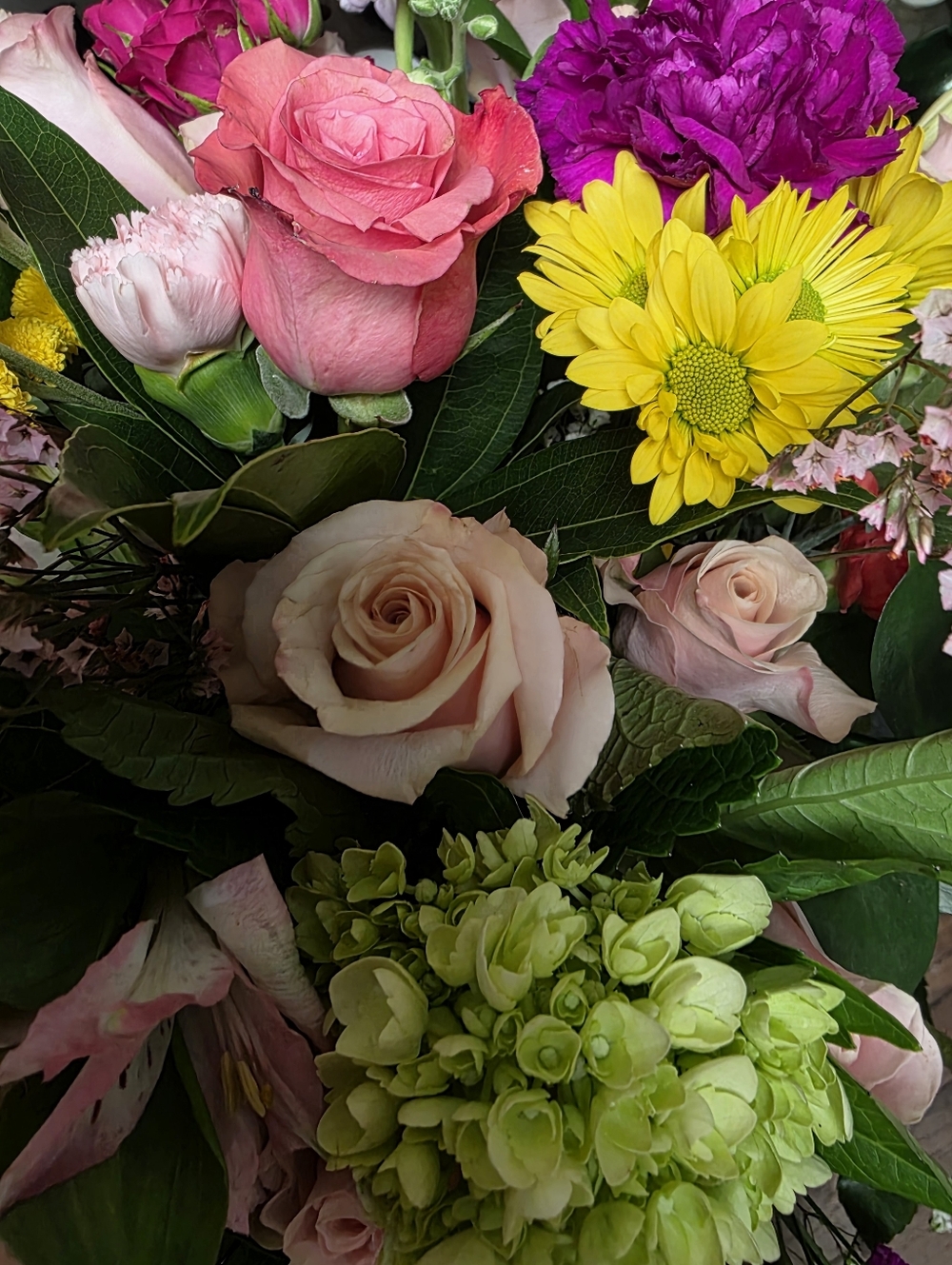 Meet your Posher, Rhonda